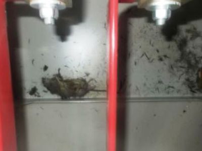 На АЭС «Фукусима-1» произошла новая утечка радиации  - Энергетика