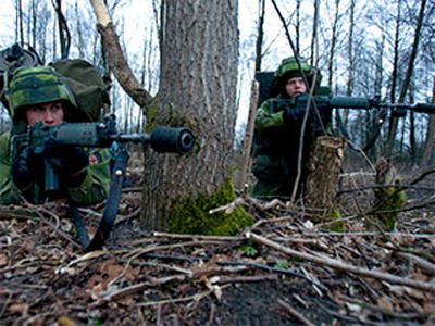 Шведской армии грозит банкротство - В Мире