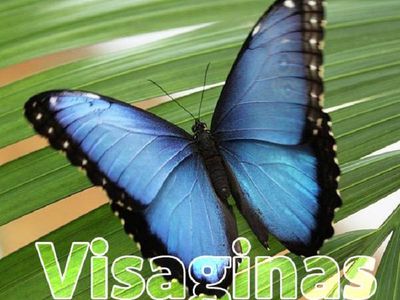 А вчера мы пошутили! - В Висагинасе