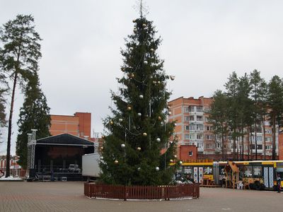 Приглашаем на праздник зажжения елки - Культурные и спортивные мероприятия