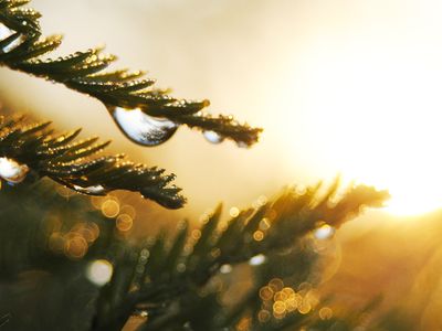 Прогноз: солнце вернётся в Литву в конце недели - Литва и страны Балтии