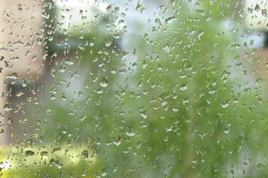 На праздниках, возможно, понадобятся зонты - В Висагинасе