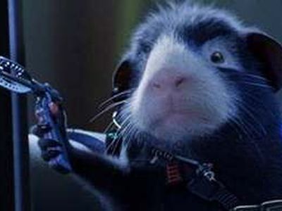 Морские свинки победили Гарри Поттера в американском кинопрокате
 - Культурные и спортивные мероприятия