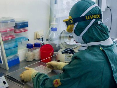 В Великобритании выделили шесть форм COVID-19 - Наука и здоровье