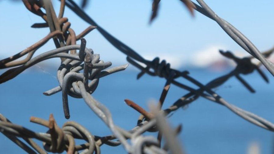 Россия начала обносить Украину колючей проволокой - В Мире