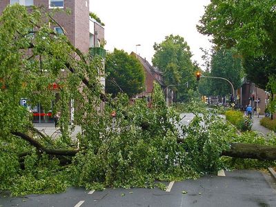 Пожарные более 900 раз выезжали устранять последствия урагана по всей Литве - Литва и страны Балтии