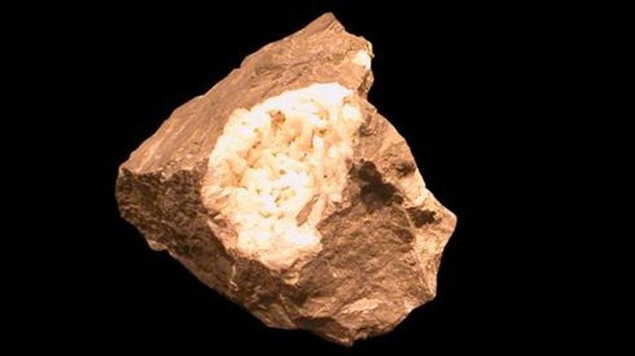 Президент уступила, правит мафия: Литва за неделю - Литва и страны Балтии