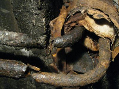 В чём виноваты висагинцы? - В Висагинасе