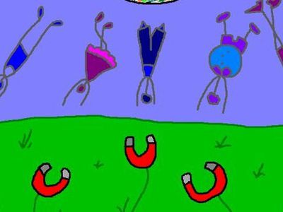 Почему магнит не притягивает органические вещества? - Наука и здоровье