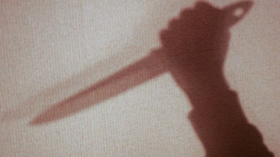 10-классник вильнюсской гимназии нанес ножевое ранение другому ученику - Происшествия и криминал