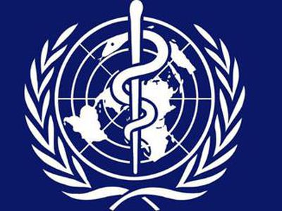 Экспертов ВОЗ, развернувших всемирную борьбу со свиным гриппом, подозревают в коррупции - Наука и здоровье