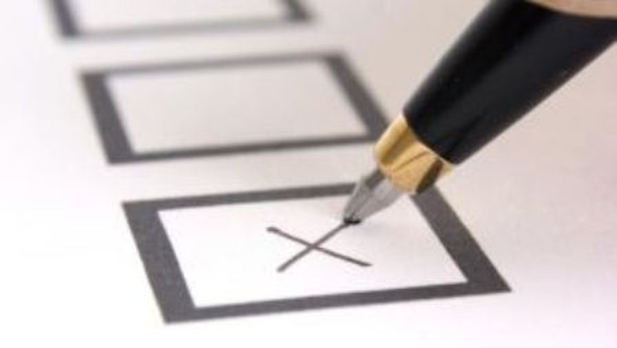 За кого голосовать? — Результаты опроса - В Висагинасе