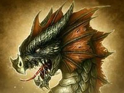 Каким будет новый год Дракона                                 - Хобби, отдых и развлечения