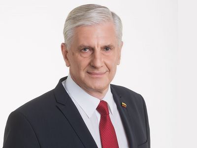 По предварительным данным Альгимантас Думбрава набрал 75% голосов во втором туре голосования - Литва и страны Балтии