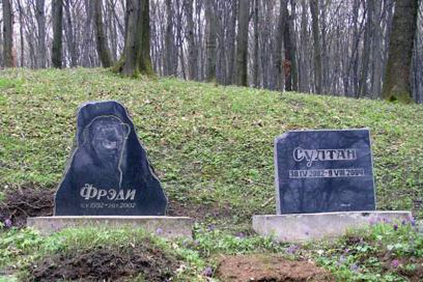В Вильнюсе появится первое легальное кладбище домашних животных