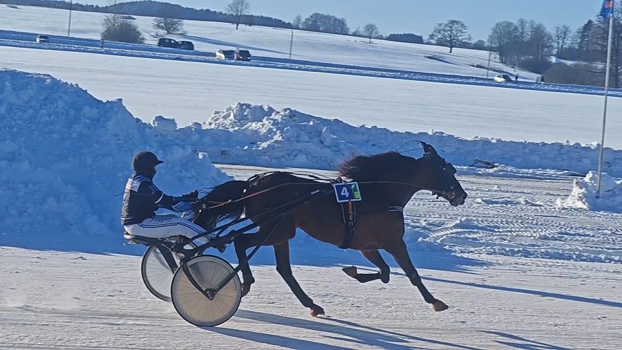 Рысистые конные бега «Сартай 2026» (видео) - Соседи