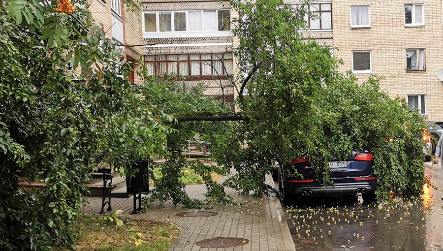 Кадр дня: Пора собирать урожай - Происшествия и криминал
