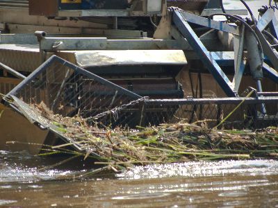 Пляжный сезон в Висагинасе планируется открыть на следующей неделе - В Висагинасе