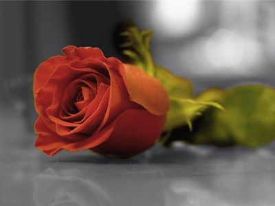 Поздравляем с юбилеем! - Поздравления