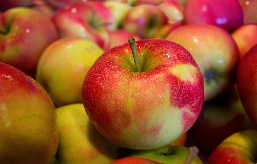 Минсельхоз Литвы подсчитал, какие продукты дорожают - Литва и страны Балтии