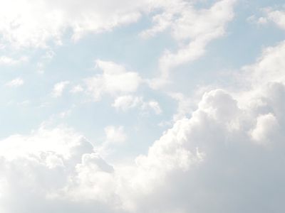 Завершено расследование дела о крушении самолета в Каунасском районе - Происшествия и криминал