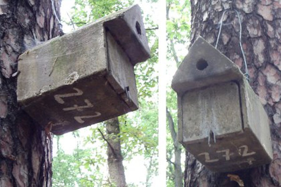 Правительство Литвы не спешит реформировать систему служебных квартир                                 - Литва и страны Балтии