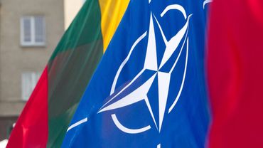 Глава Минобороны Литвы в разговоре с представителем НАТО выразил беспокойство за безопасность страны