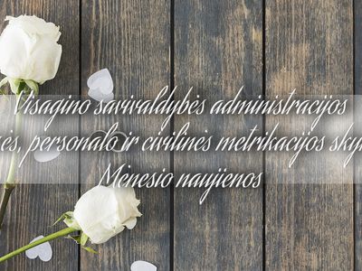 Статистика загса за май - В Висагинасе