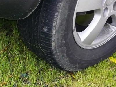 Ant vejos ir samanų automobiliui – ne vieta - Lietuva ir Baltijos šalys