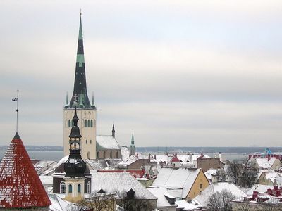 Президент Эстонии надеется на встречу с Путиным в 2021 году на конгрессе в Тарту - Литва и страны Балтии