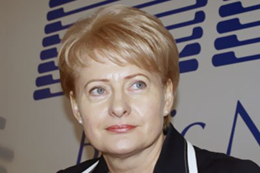 В Австрии президент Литвы обсудит безопасность атомной энергетики

 - Энергетика