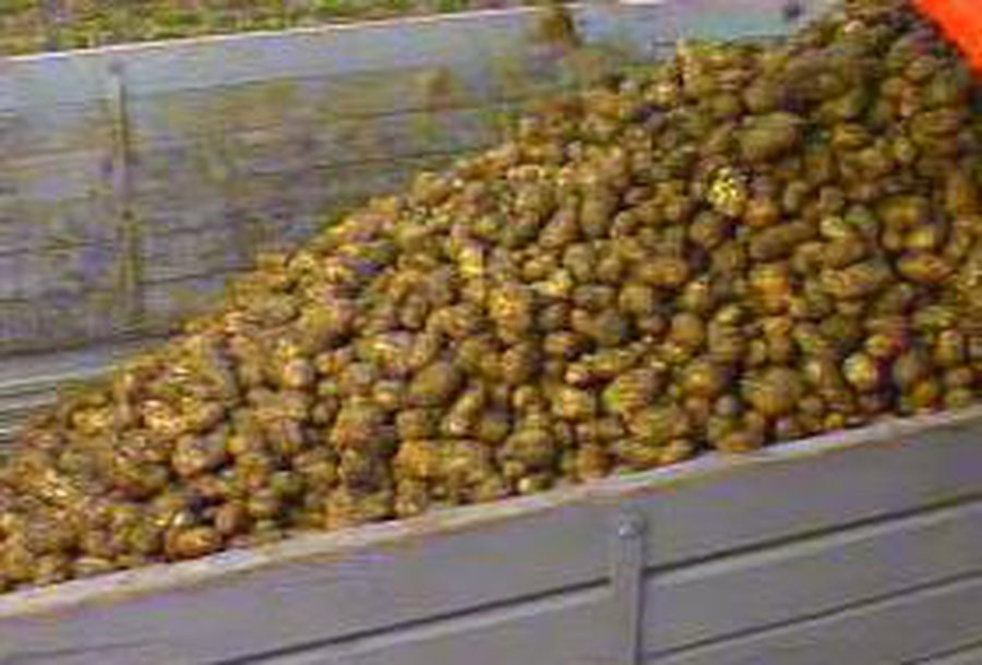 Нагнись, товарищ! - В Мире