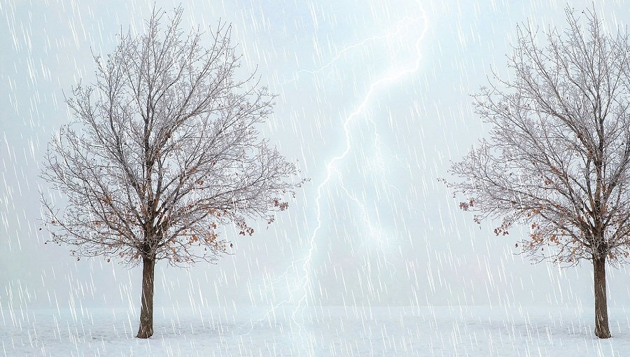 Климатолог рассказала, что ждет Литву в будущем: зимы точно не будут такими, как раньше - Это интересно