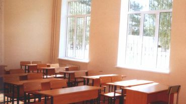 Вице-министр: через пару лет в Литве будет на 300 школ меньше
 

