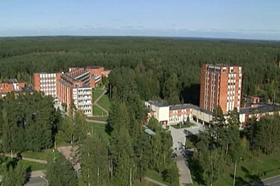 Продолжается история со столбами  - Происшествия и криминал