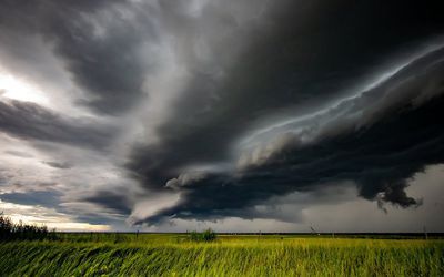 Svarbi žinia žemės ūkiui: dėl audros padarinių Vyriausybė skelbia valstybės lygio ekstremaliąją situaciją - Lietuva ir Baltijos šalys