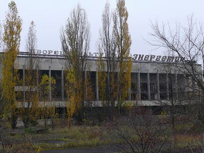 Зона отчуждения 28 лет спустя: чем живет покинутая Чернобыльская зона? - Энергетика