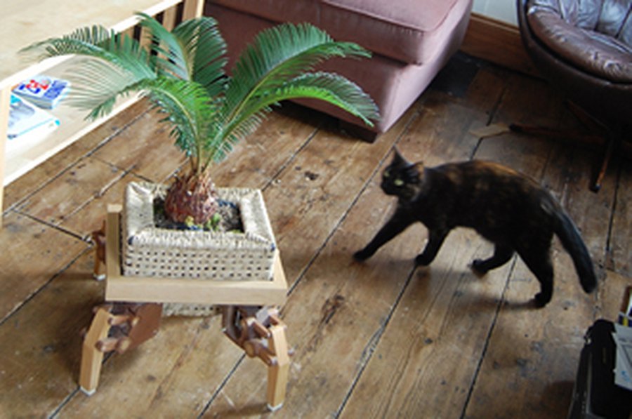 Роботизированная подставка для комнатных растений - Наука и здоровье