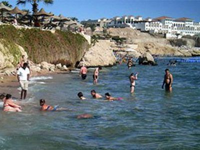 Акулы закрывают пляжи - Хобби, отдых и развлечения