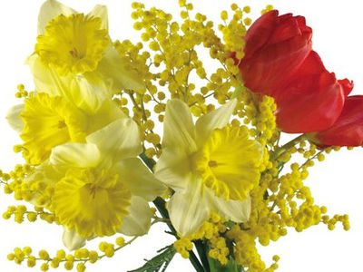 Приглашаем на праздничный концерт «С любовью к женщине»                                                                                                - В Висагинасе