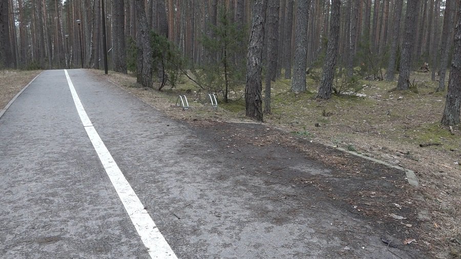 Куда пропали скамейки, которые раньше стояли вдоль дорожки на вокзал? - В Висагинасе