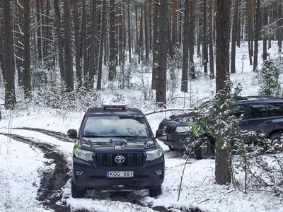 За прошлые сутки пограничники предотвратили проникновение 24 нелегальных мигрантов - Происшествия и криминал