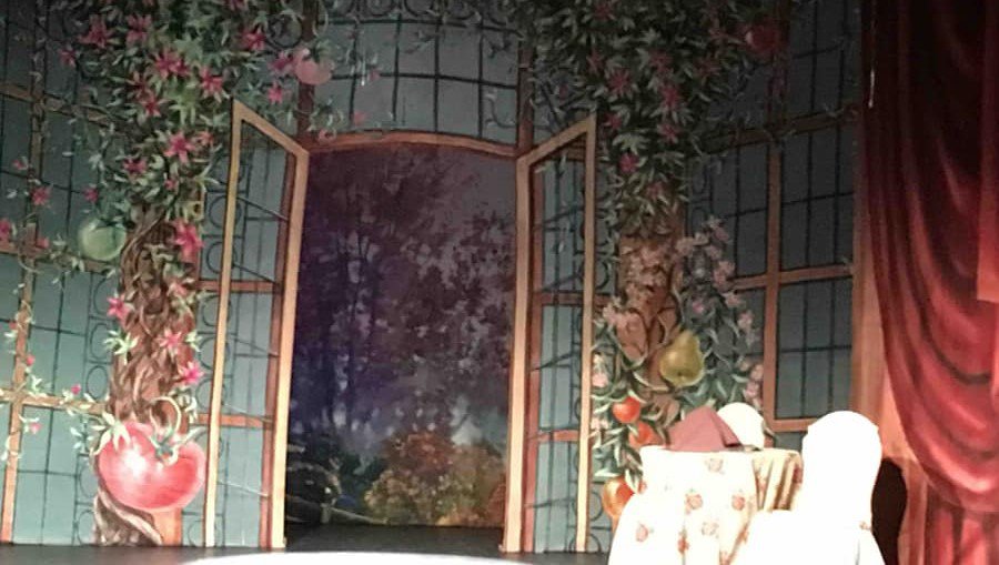 Гастроли музыкального театра "Петербургская оперетта" в Висагинасе - уже завтра! Не пропустите! - Культурные и спортивные мероприятия