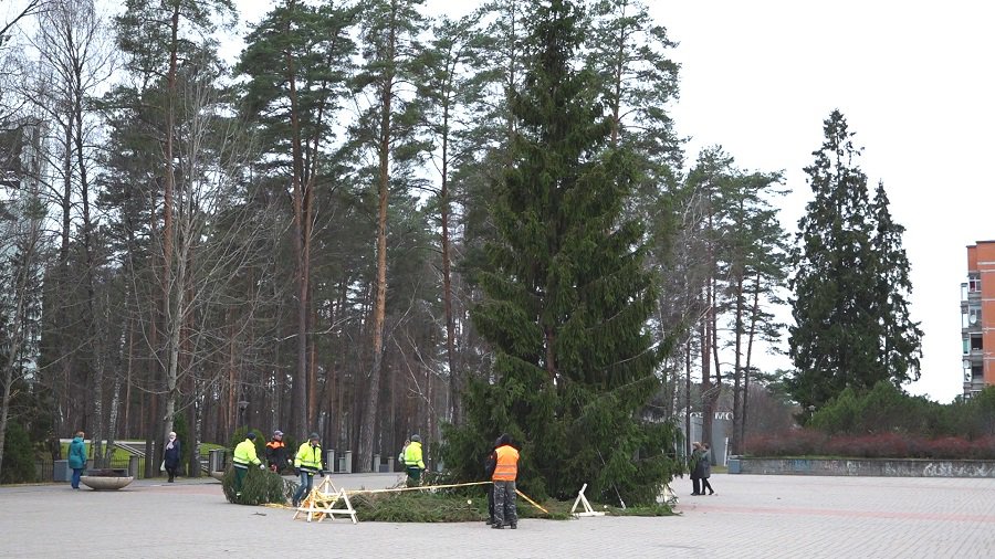 На площади Сантарвес установили городскую елку (видео) - В Висагинасе