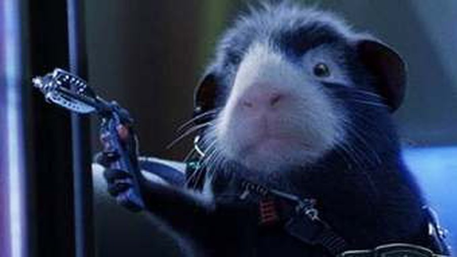 Морские свинки победили Гарри Поттера в американском кинопрокате
 - Культурные и спортивные мероприятия