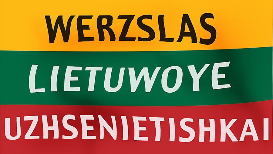 Названия предприятий смогут быть с латинскими буквами на иностранных языках - Литва и страны Балтии