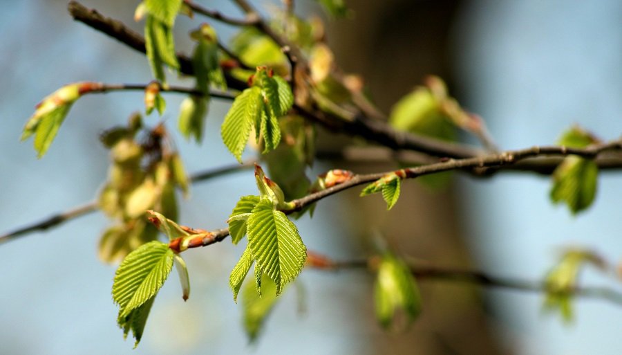 Летнее тепло вытесняет прохладная погода - Литва и страны Балтии