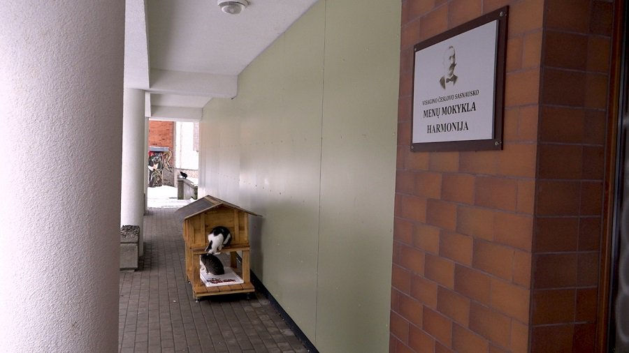 В Висагинасе появился первый «Кошкин дом» - В Висагинасе