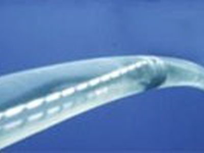 Латвия уступила Литве в вопросе строительства электромоста из Швеции - Энергетика