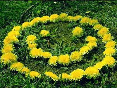 Цвети, мой город! - В Висагинасе